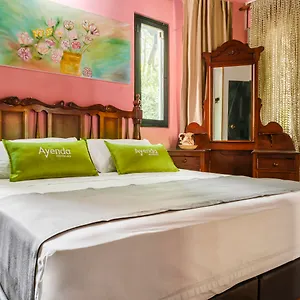book here